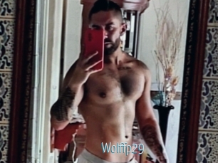 Wolffp29