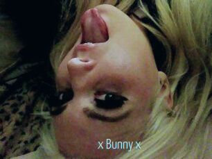 _x_Bunny_x_