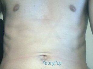 YoungPup