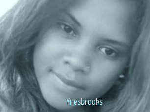 Ynesbrooks