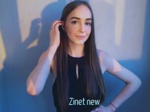 Zinet_new